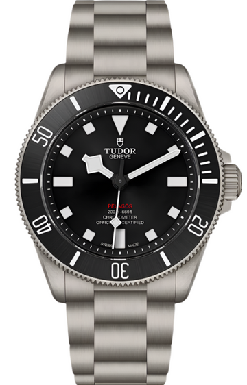 Tudor Pelagos Titanium 39 Ref - M25407N