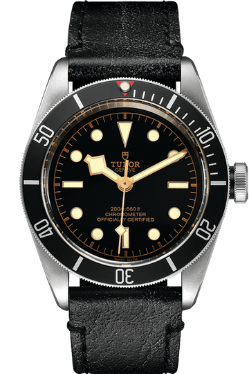 Tudor Black Bay Ref - M79230N-0008